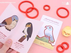 guia de aves rapaces de españa