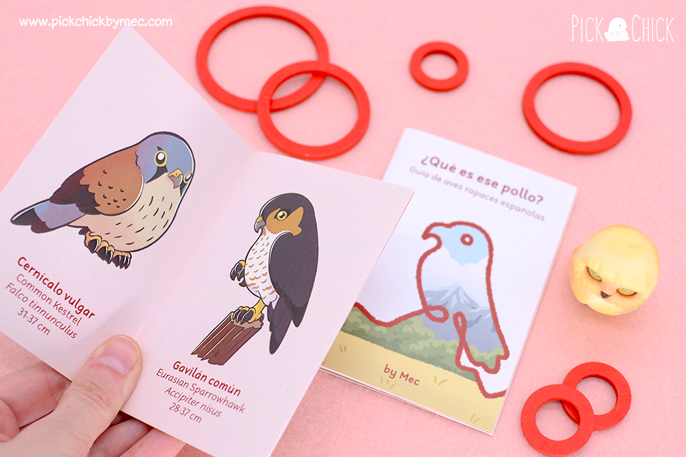 guia de aves rapaces de españa