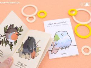 guia libro de aves urbanas españolas